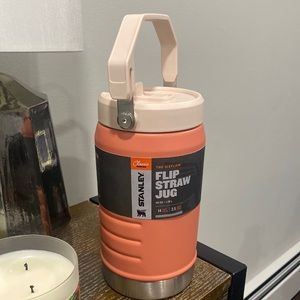 Stanley Flip Straw Jug